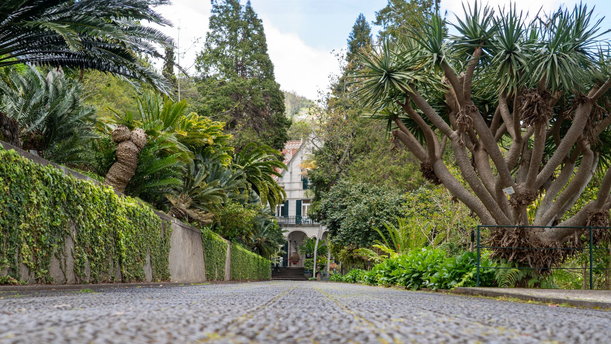 Jardim Tropical Monte Palace in Monte